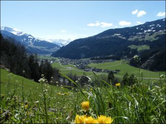 20081_650.jpg