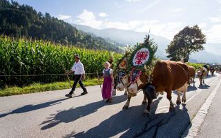ZillertalAlmleben©Zillertal Tourismus GmbH, Marco Rossi (57).jpg